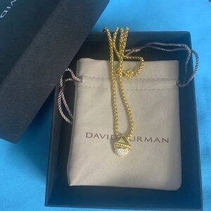 David Yurman Diamond Acorn Pendant Necklace in 18k gold